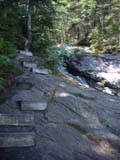 Falls along trail from Beaver Brook Shelter to Kinsman Notch