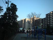 Apartments with Cars Parked on top of each other