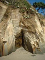 Crevice in Beach Rock