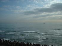 Fishing Boats off Coast