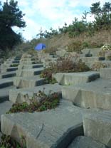 Tenting on Stone Stairs on Coast