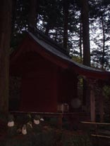 Small Shrine with Dogs Wearing Hankerchiefs