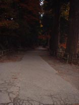 Path in Temple Tourist Area